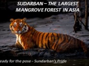 Sundarban Package Tour Guideline