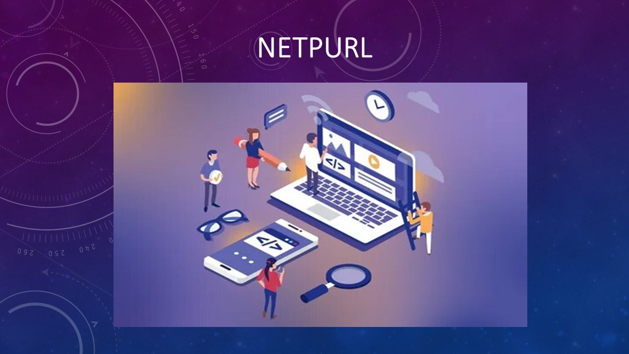 Most efficient web development company in Pakistan