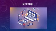 Most efficient web development company in Pakistan