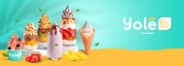 Healthy Franchise Frozen Yogurt