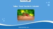 Yellow Fever Vaccine in Leicester