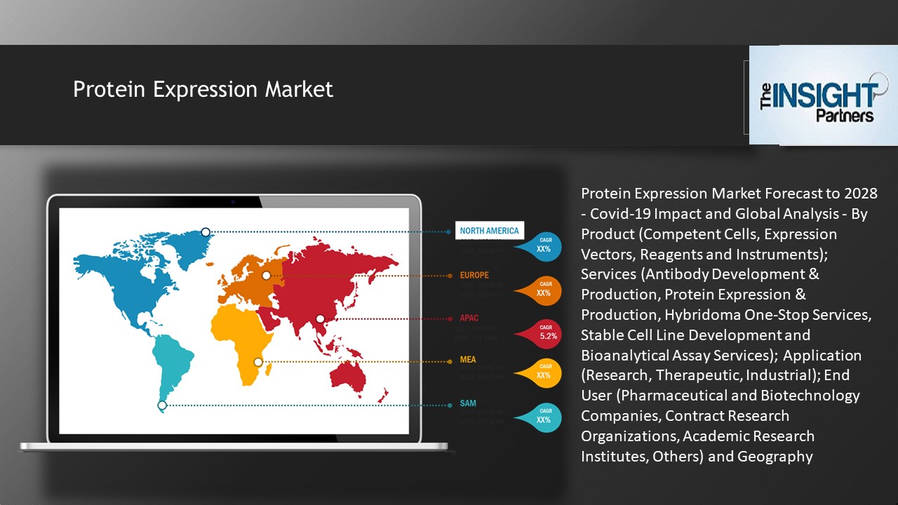 Protein Expression Market