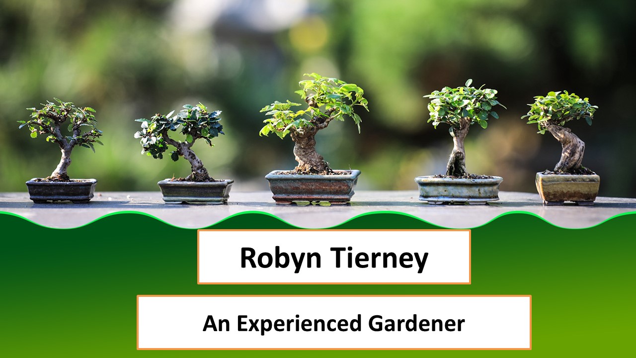 Robyn Tierney - An Experienced Gardener