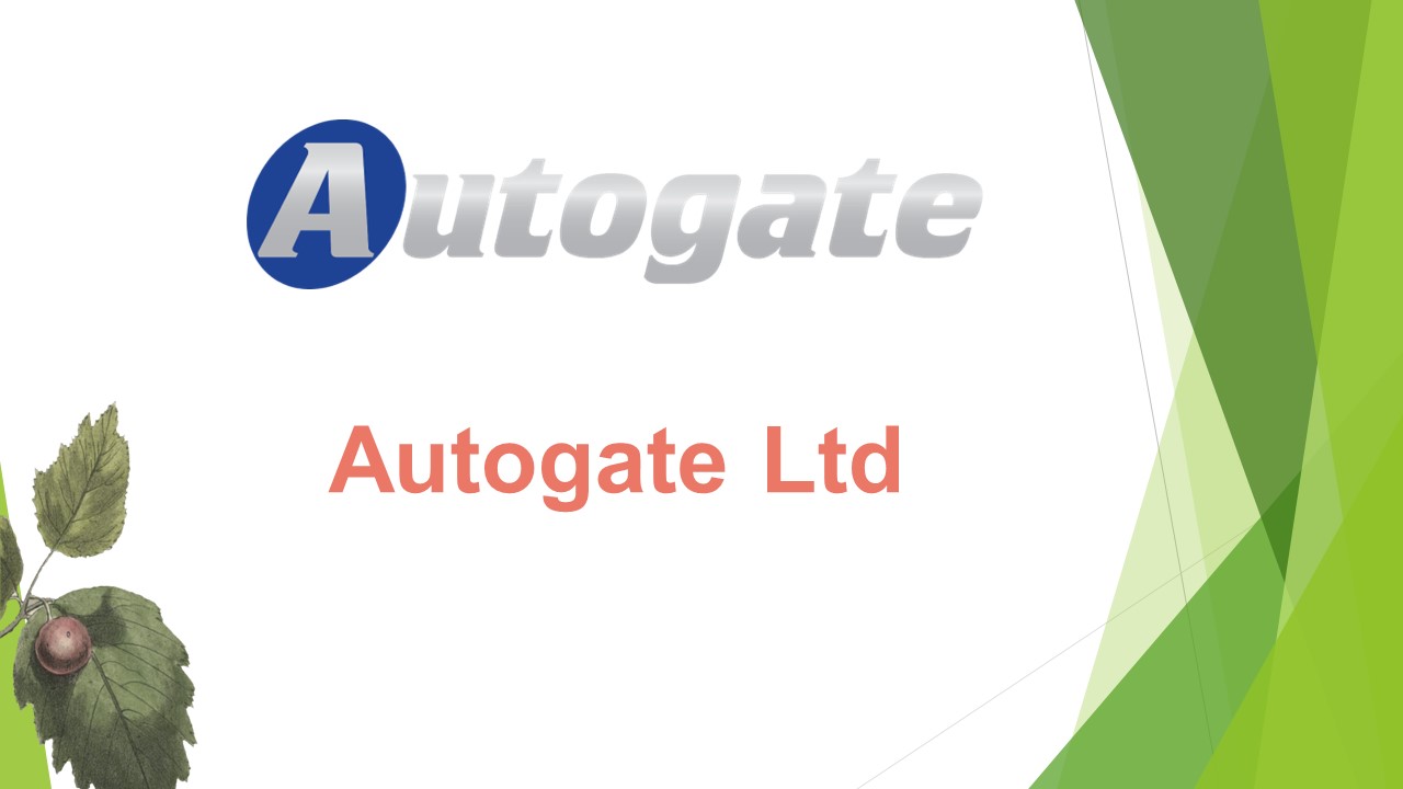 Electric Gate Repair Services In Woking