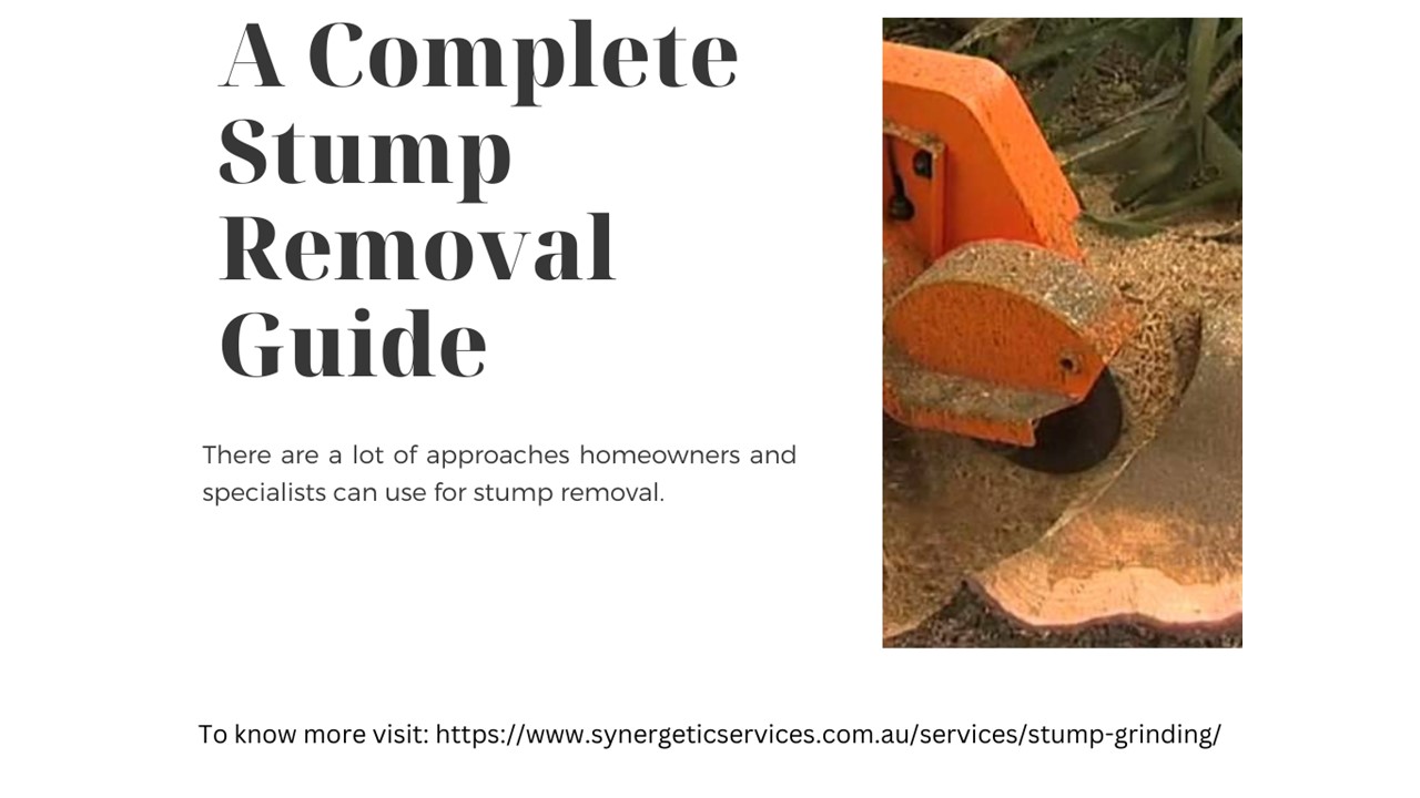 A Complete Stump Removal Guide presentation | free to download