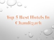 Top 5 Hotels in Chandigarh