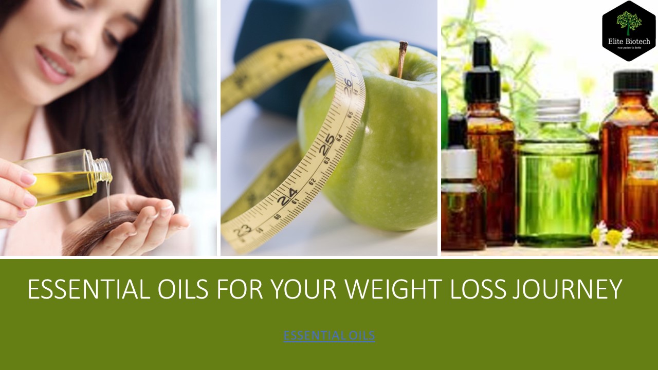 PPT Essential Oils For Your Weight Loss Journey PowerPoint