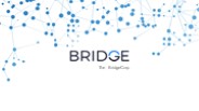 Bridgecorp Process