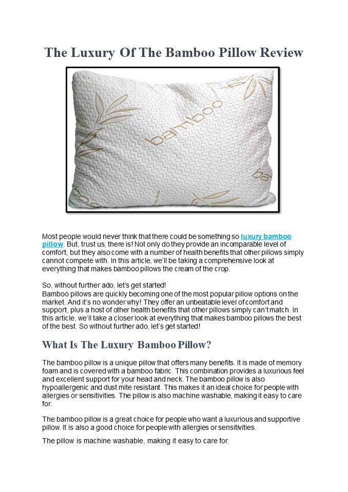 PPT The Luxury Of The Bamboo Pillow Review PowerPoint presentation
