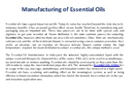 Manufacturing of Essential Oils