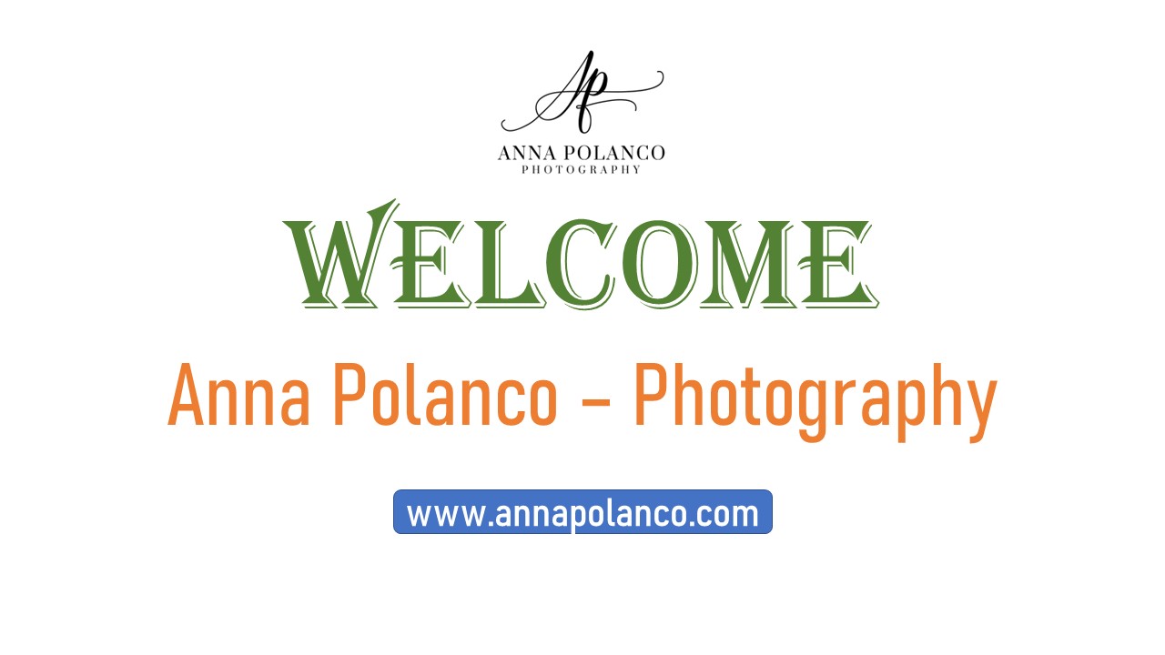 Professional Photographer Based In Punta Cana