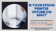 Troubleshooting Methods to Fix Epson Printer Offline Mac Issue