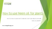 Hoe To Use Neem Oil For Plants