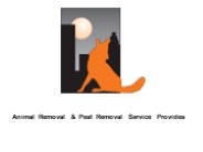 The Best Pest Control in GA