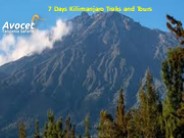 7 Days Kilimanjaro Treks and Tours