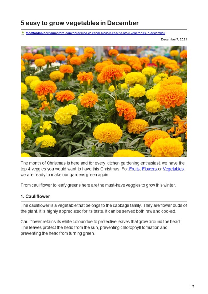 5 easy to grow vegetables in December