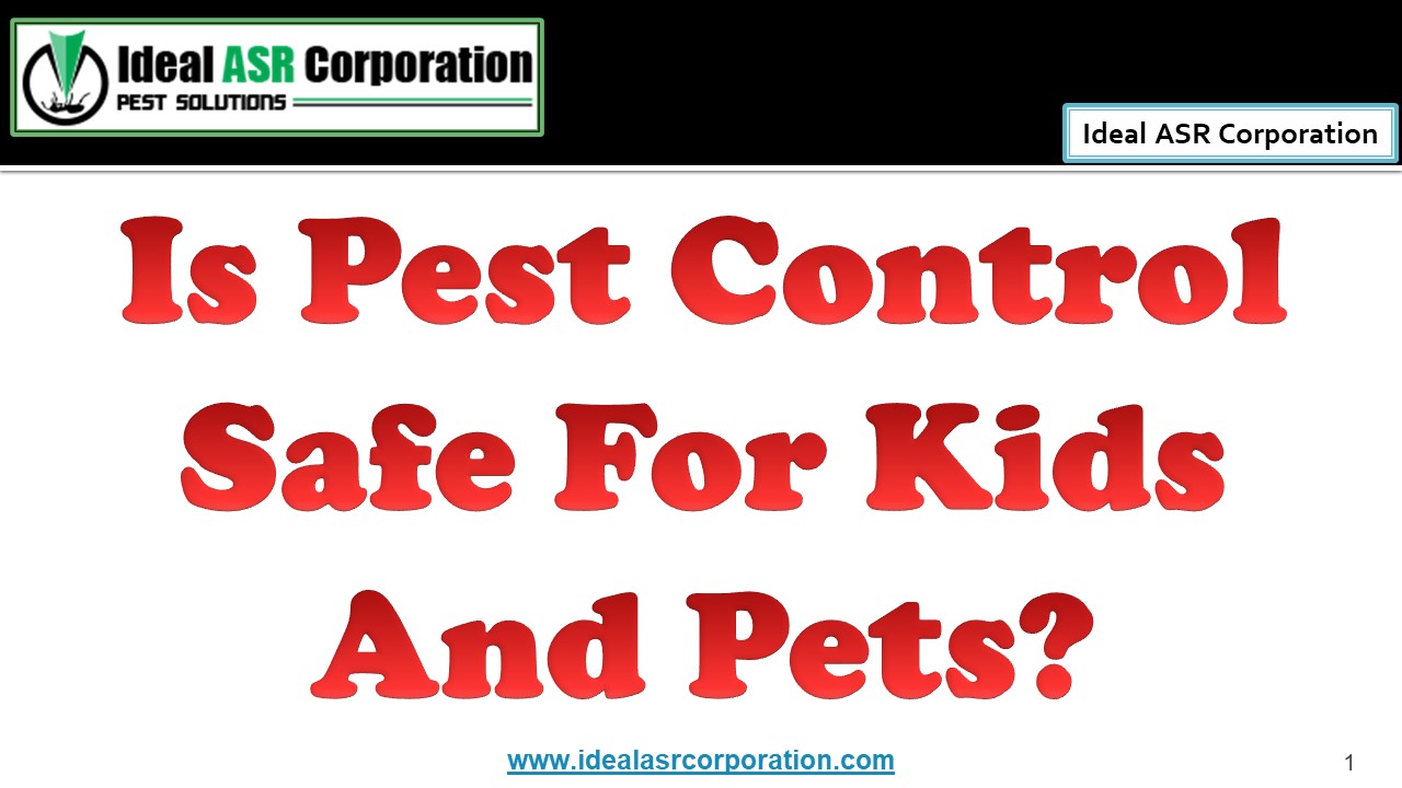 PPT Is Pest Control Safe For Kids And Pets? (1) PowerPoint