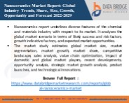 Nanoceramics market