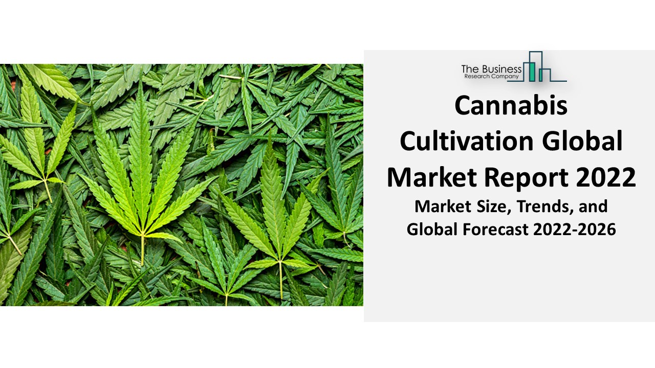 PPT Cannabis Cultivation Market 2022 By Industry Size, Share