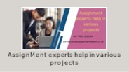 Assignment experts help in various projects