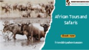 African Tours and Safaris