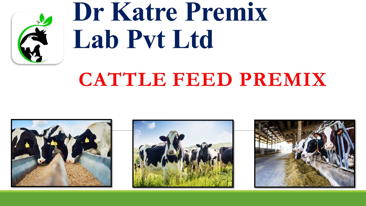 Cattle Feed Premix By Dr Katre Premix Lab Pvt Ltd