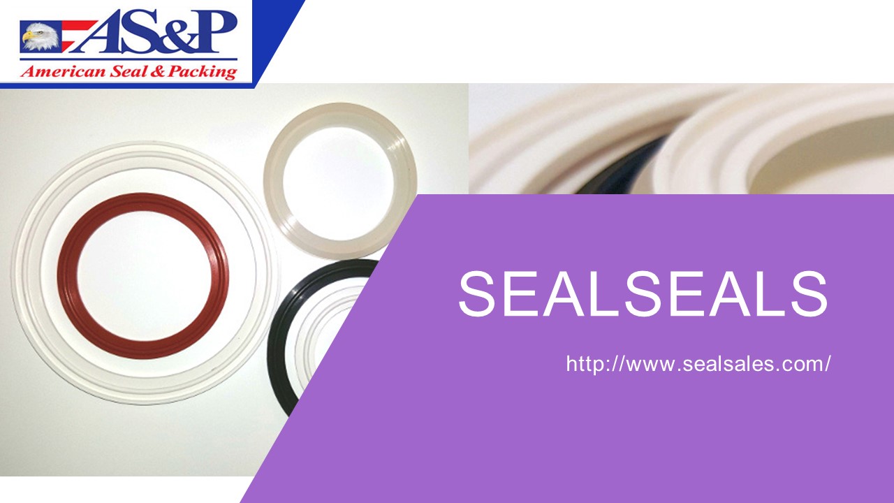 Buy Sanitary Gaskets in the USA