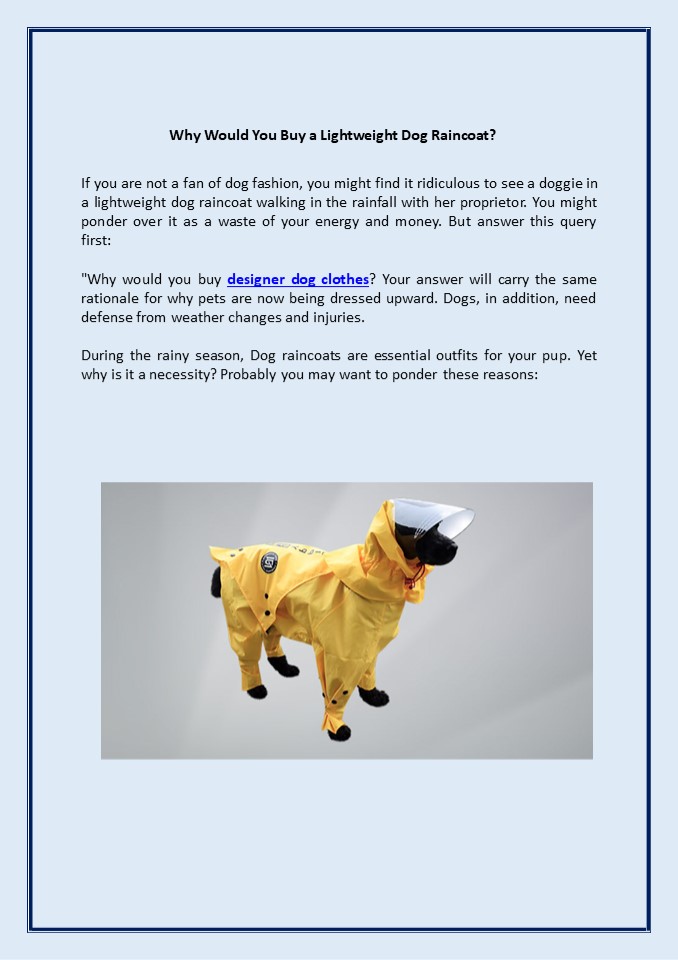 Why Would You Buy a Lightweight Dog Raincoat?