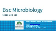 BSc Microbiology - Jobs, Scope and Salary