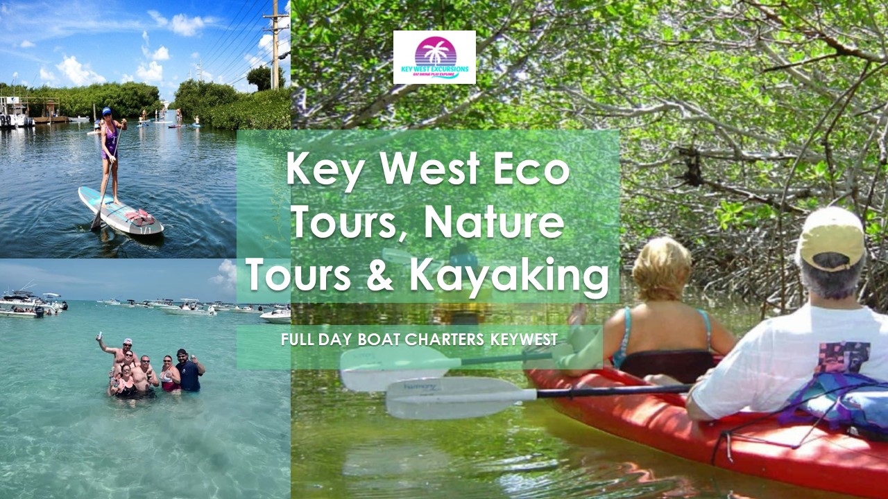Key West Eco Tours, Nature Tours and Kayaking
