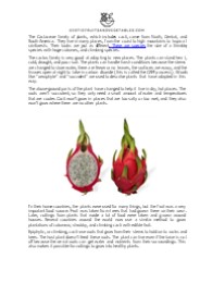 Dragon fruit, pitaya, pitahaya exoticfruitsandvegetables.com