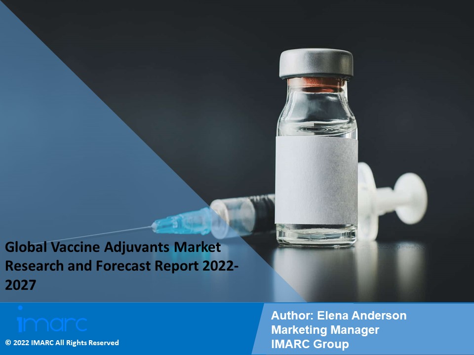 Vaccine Adjuvants Market Growth, Demand and Challenges of the Key Industry Players