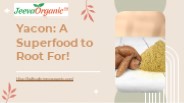 Yacon: A Superfood to Root For!