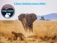 2 Days Tanzania Luxury Safari