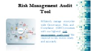 Risk Management Audit Tool (1)