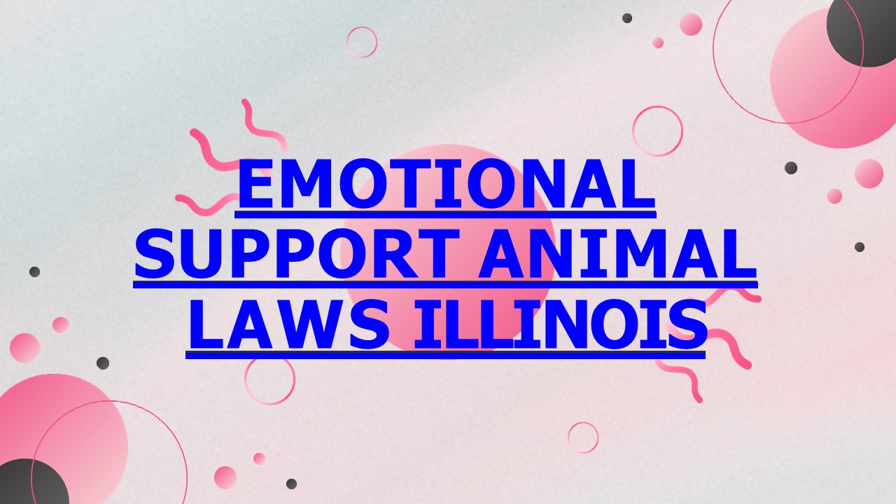 PPT emotional support animal illinois PowerPoint presentation free