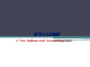 Florida Accounting Firms