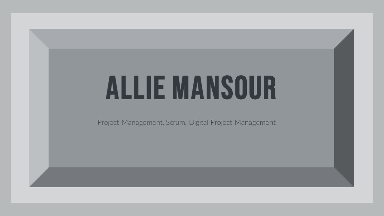 Allie Mansour - An Assertive and Competent Professional