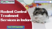 Rodent Control Treatment Services in Indore – IdealASR (1)