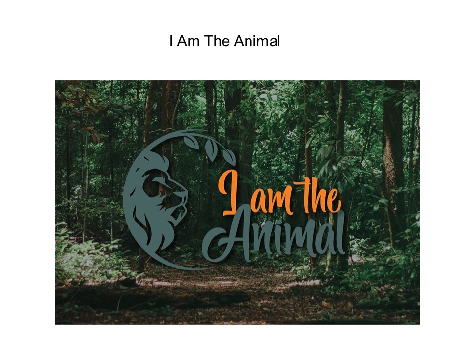 Ethical Clothing Australia (1)