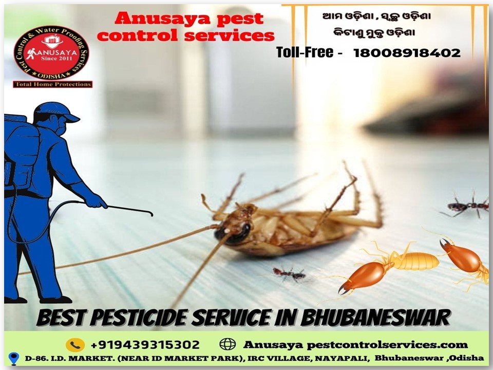PPT Best termite pest control services in Bhubaneswar PowerPoint