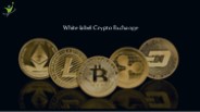 White label Crypto Exchange Development Company