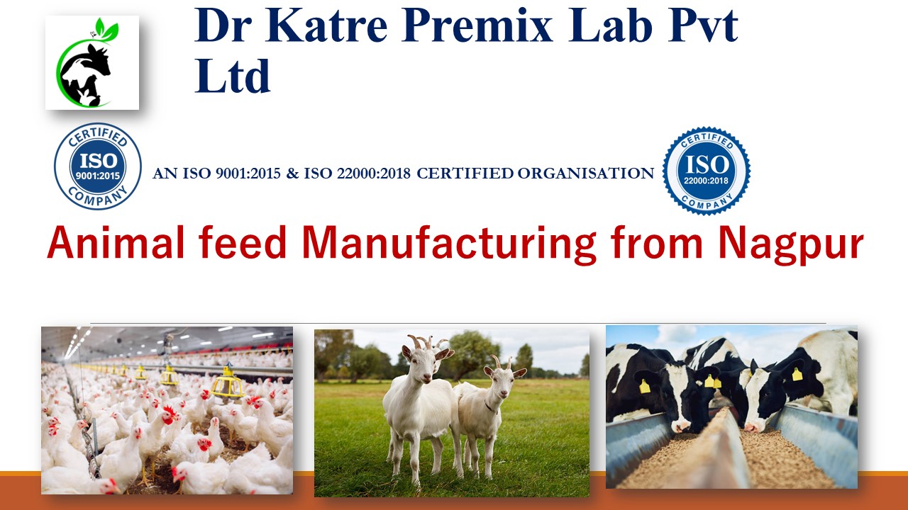Animal feed Manufacturing from Nagpur