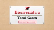 Nosotros – Tecni-Gasex