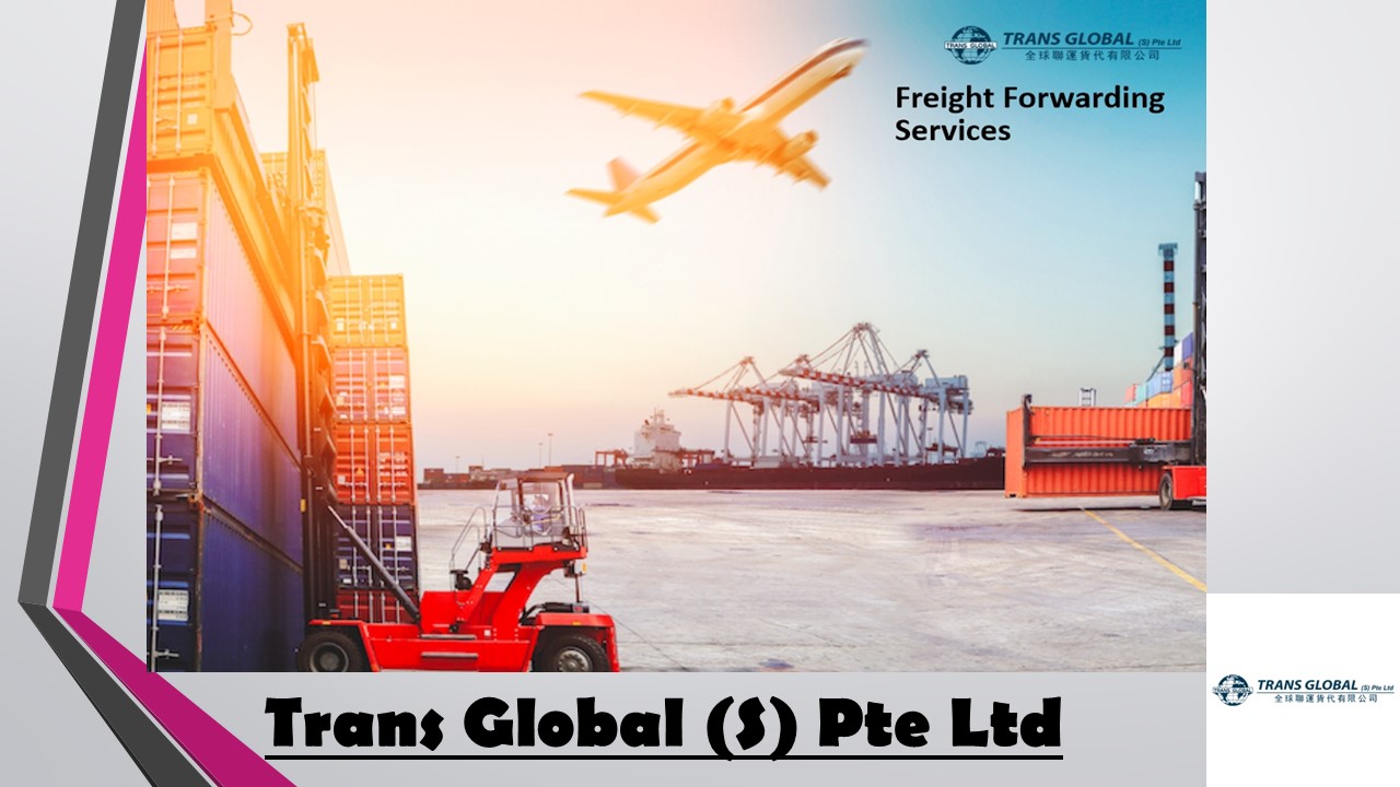 Are You Looking for International Freight Shipping Companies?