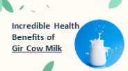 Incredible Health Benefits of Gir Cow Milk