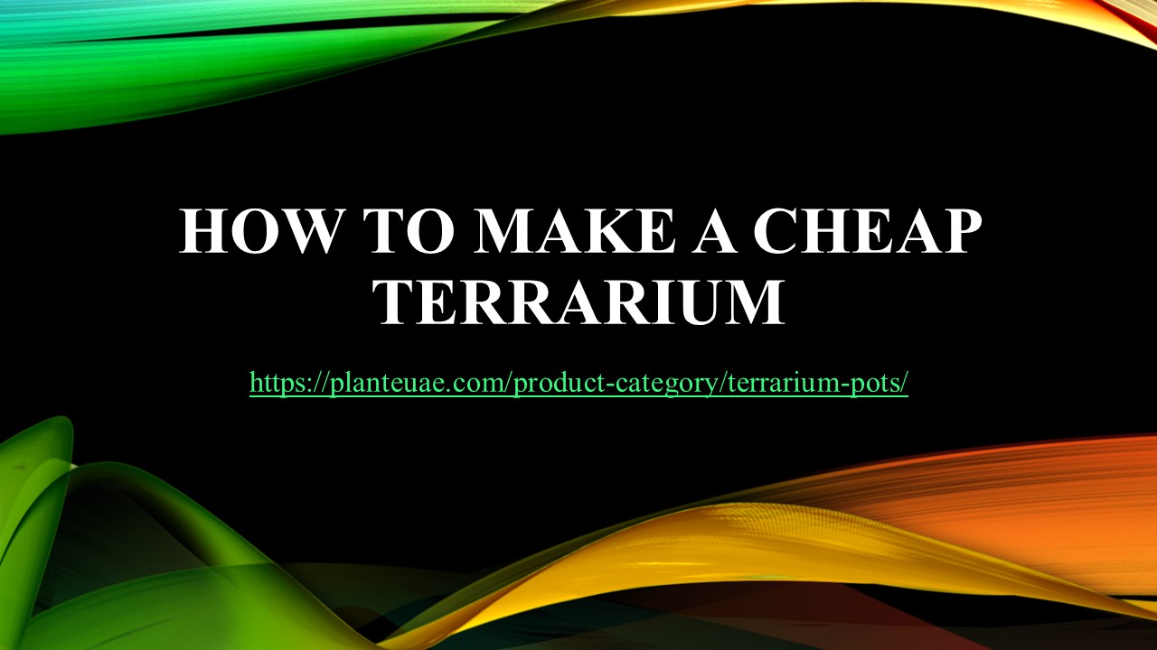 PPT How to make a cheap terrarium PowerPoint presentation free to