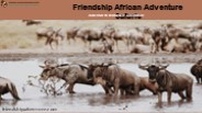 African Adventure Safaris