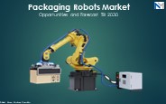Global Packaging Robots Market PPT 2022