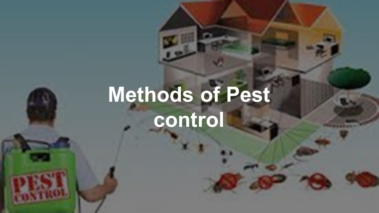 PPT Methods of Pest Control PowerPoint presentation free to download id 95f4afODI2Z
